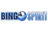 BingoSpirit Casino